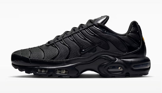Nike air max plus